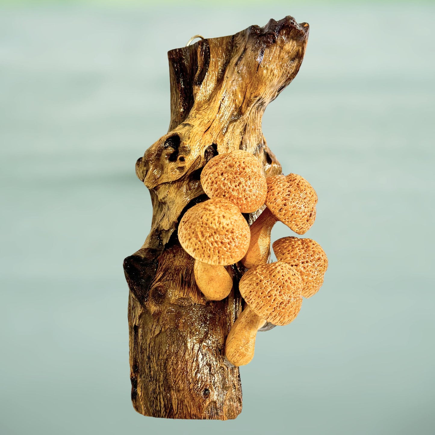 Hand Carved Mushroom Sculpture: Rustic Parasite Wood Wall Art