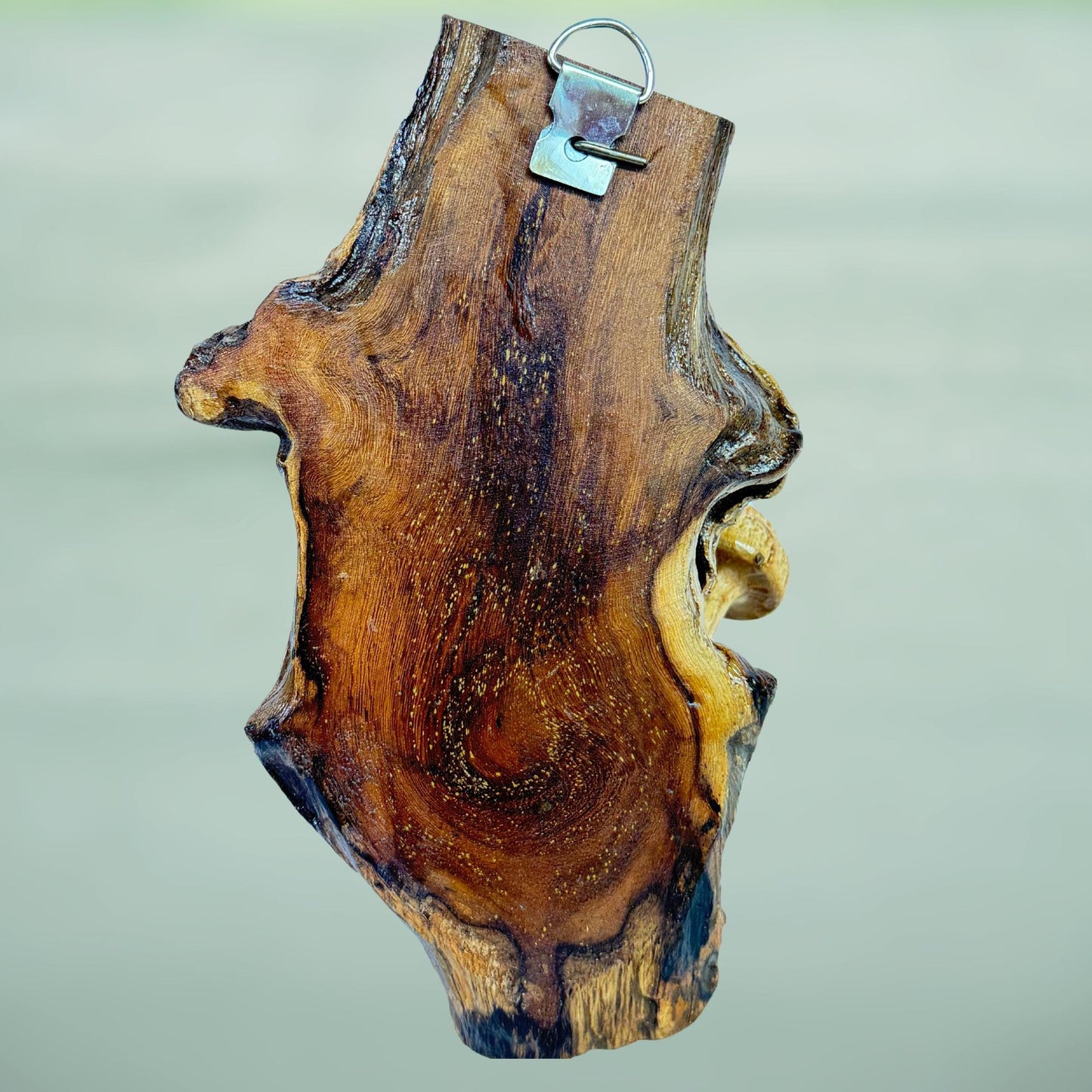 Hand Carved Mushroom Sculpture: Rustic Parasite Wood Wall Art