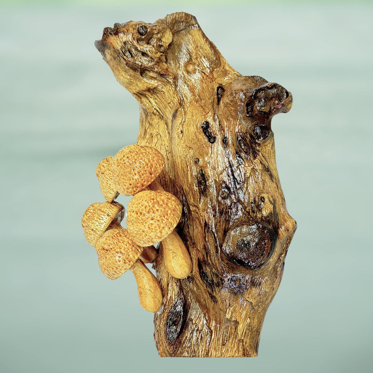 Hand Carved Mushroom Sculpture: Rustic Parasite Wood Wall Art