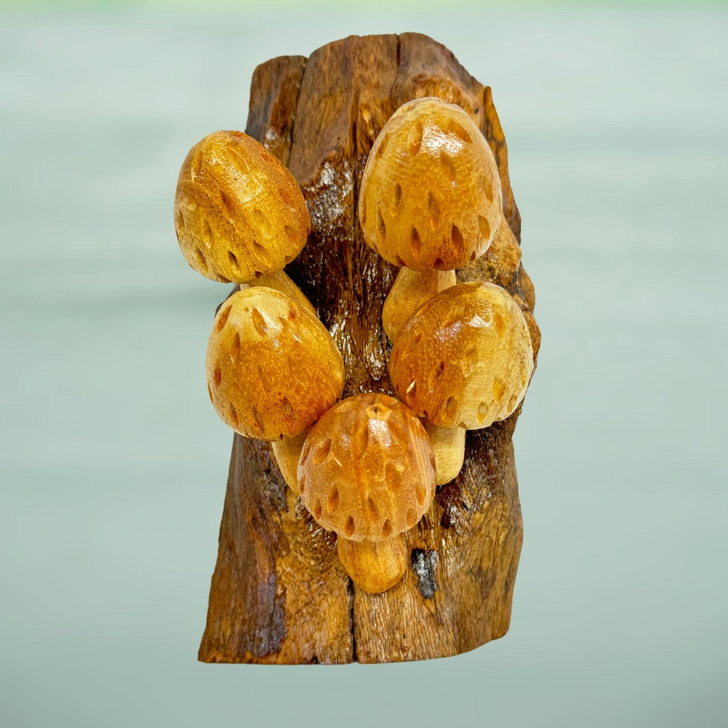 Hand Carved Wood Mushroom Sculpture: Balinese Rustic Decor Wall Art