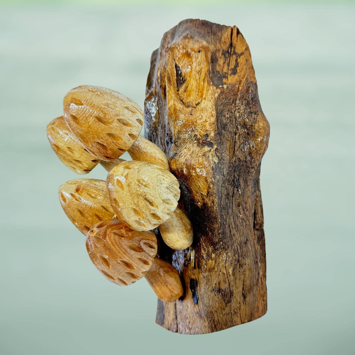 Hand Carved Wood Mushroom Sculpture: Balinese Rustic Decor Wall Art