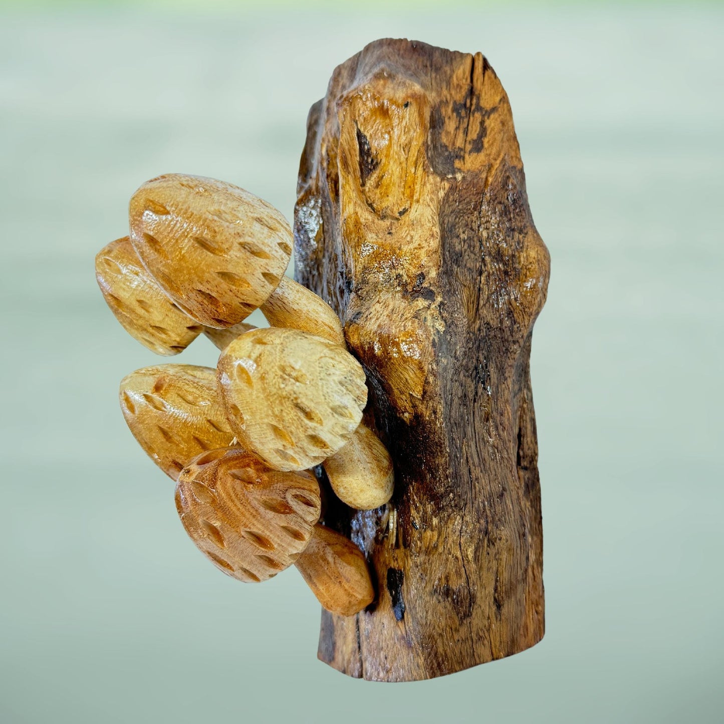 Hand Carved Wood Mushroom Sculpture: Balinese Rustic Decor Wall Art
