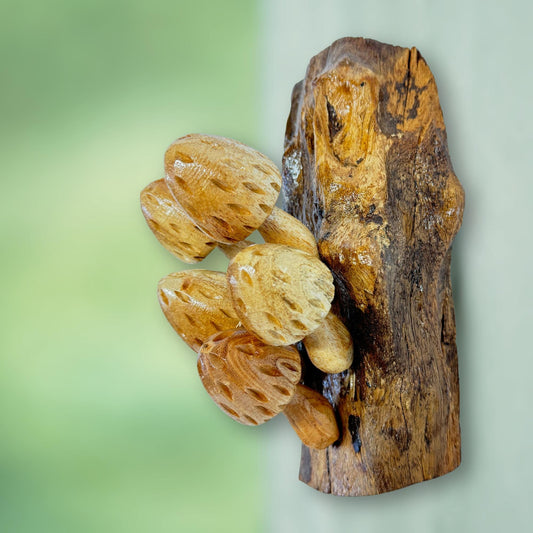 Hand Carved Wood Mushroom Sculpture: Balinese Rustic Decor Wall Art