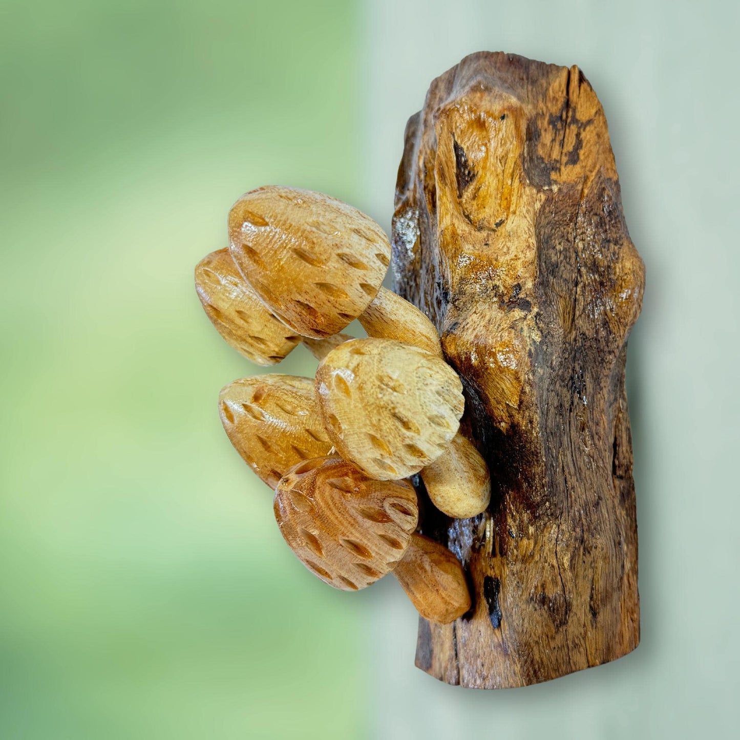 Hand Carved Wood Mushroom Sculpture: Balinese Rustic Decor Wall Art