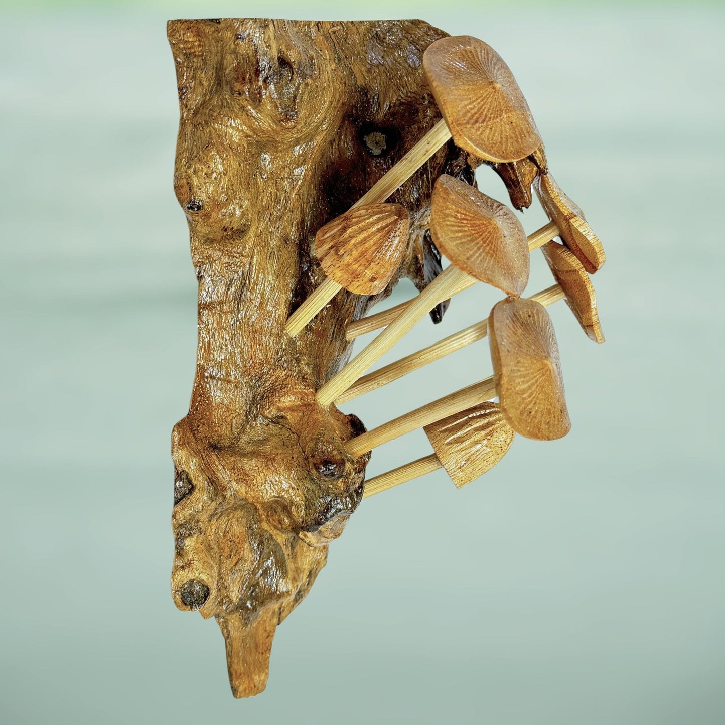 Hand Carved Mushroom Wall Art: Balinese Parasite Wood Sculpture