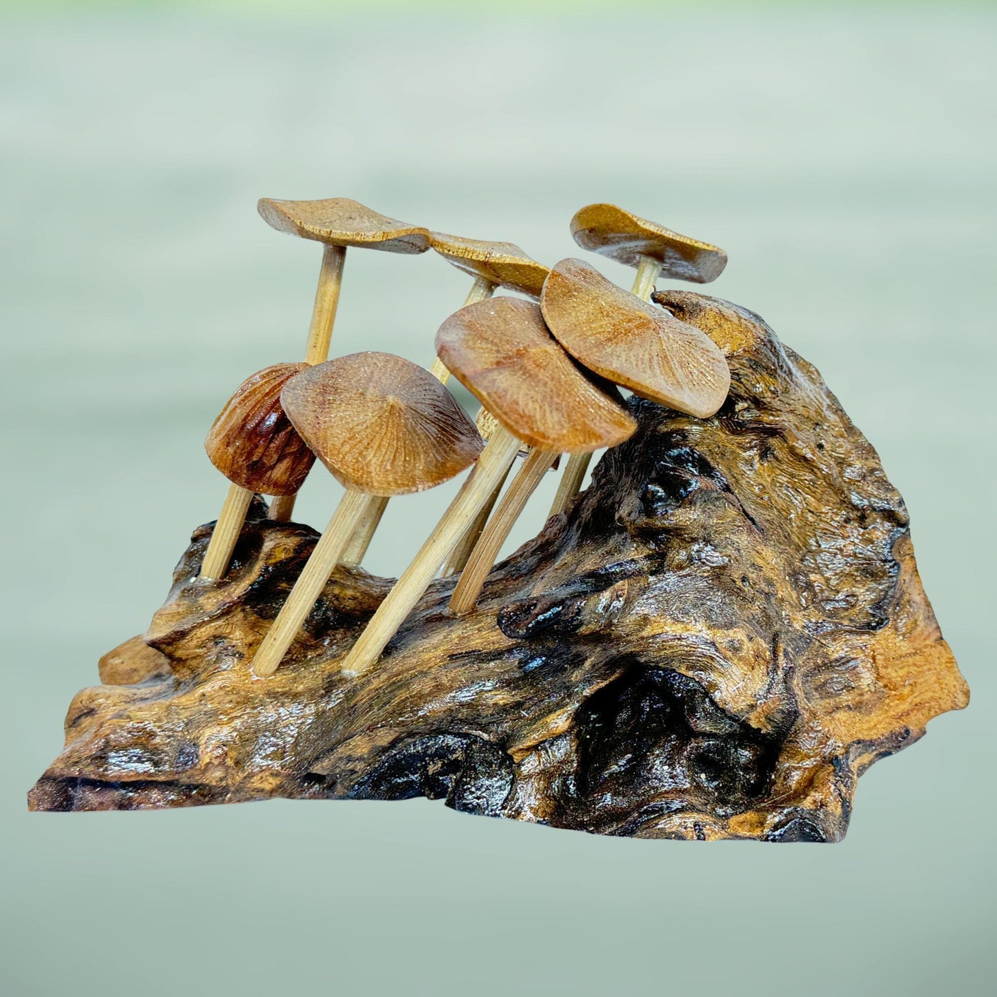 Hand Carved Mushroom Wall Art: Balinese Parasite Wood Sculpture