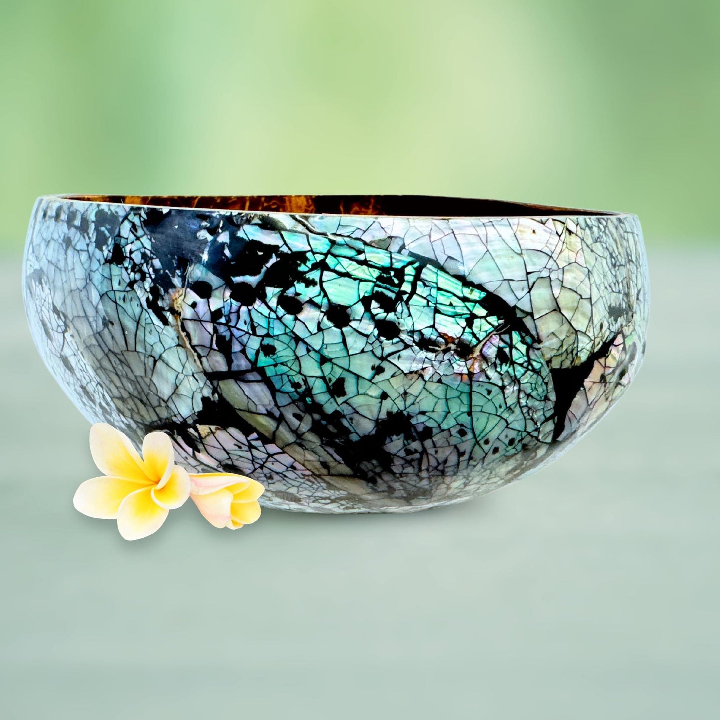 Abalone Seashell Coconut Bowl: Handcrafted Bali Decor
