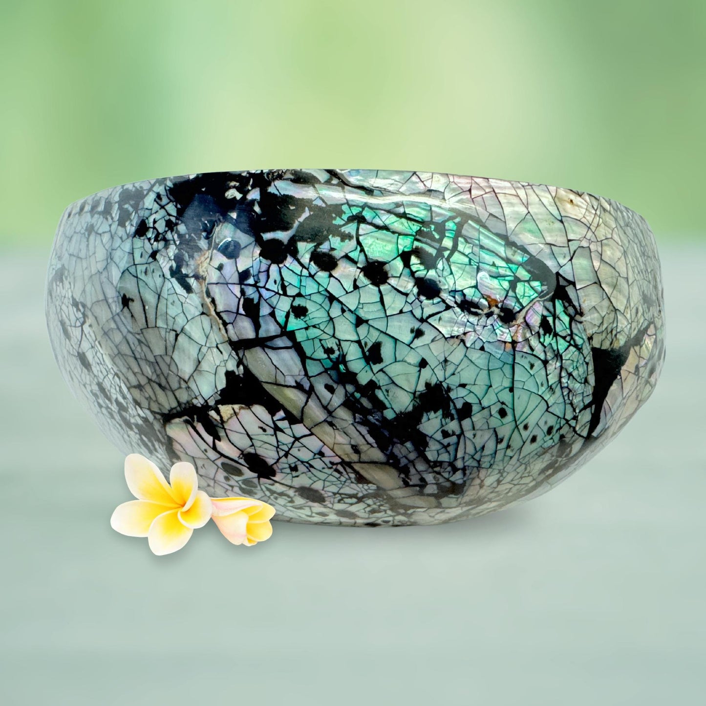 Abalone Seashell Coconut Bowl: Handcrafted Bali Decor