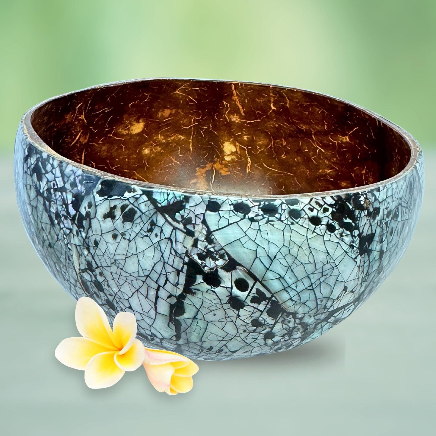 Abalone Seashell Coconut Bowl: Handcrafted Bali Decor