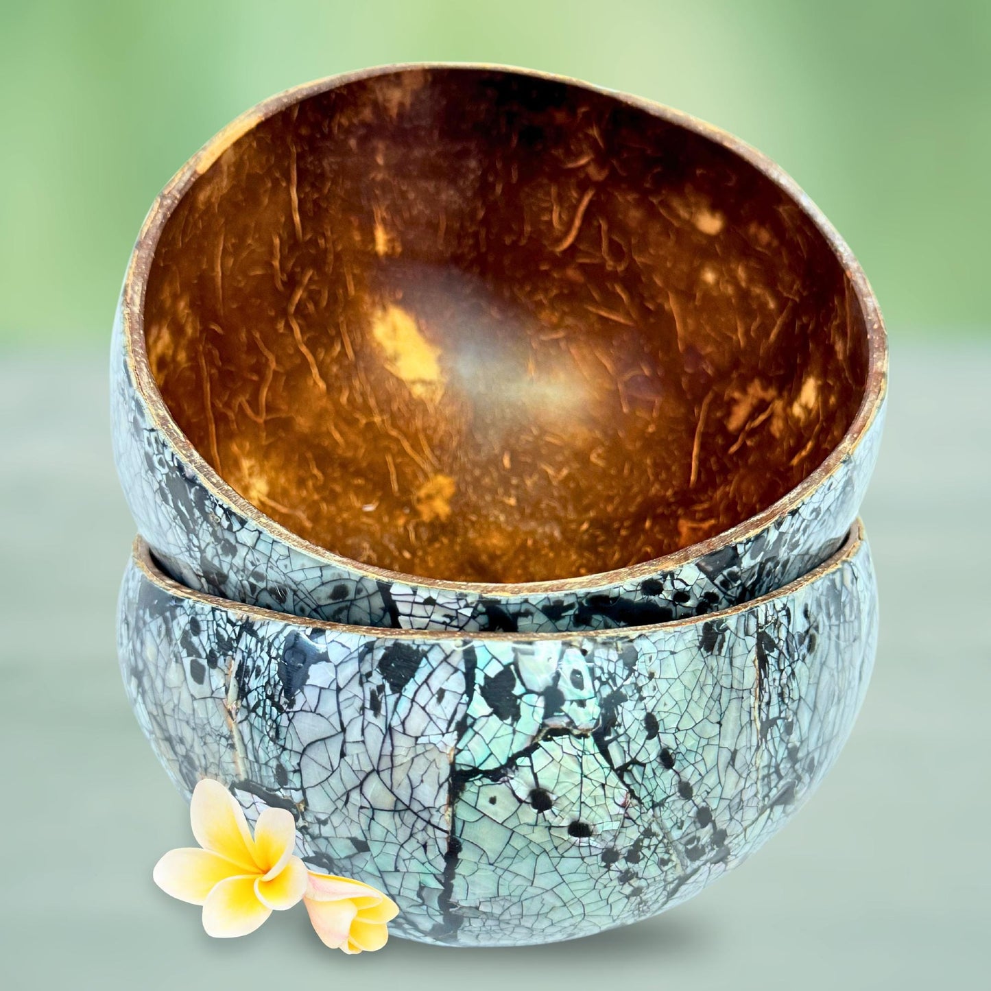 Abalone Seashell Coconut Bowl: Handcrafted Bali Decor