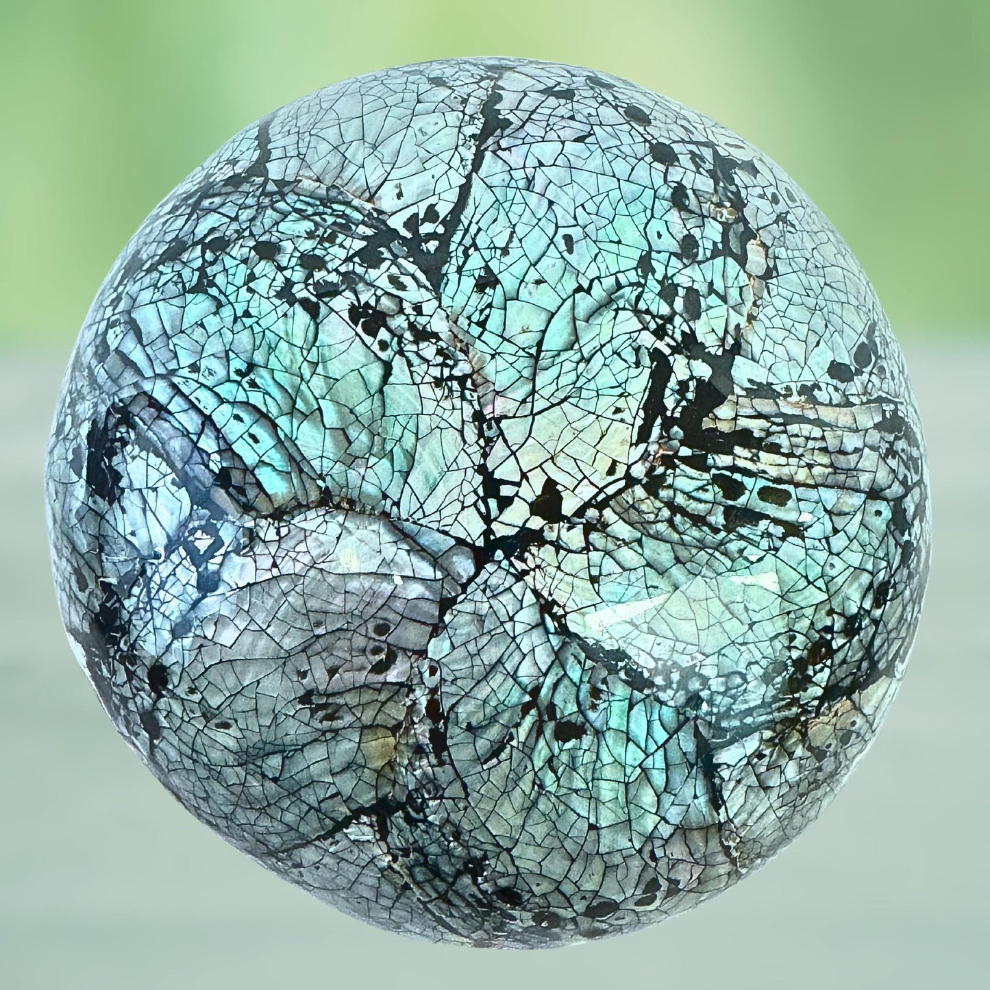Abalone Seashell Coconut Bowl: Handcrafted Bali Decor