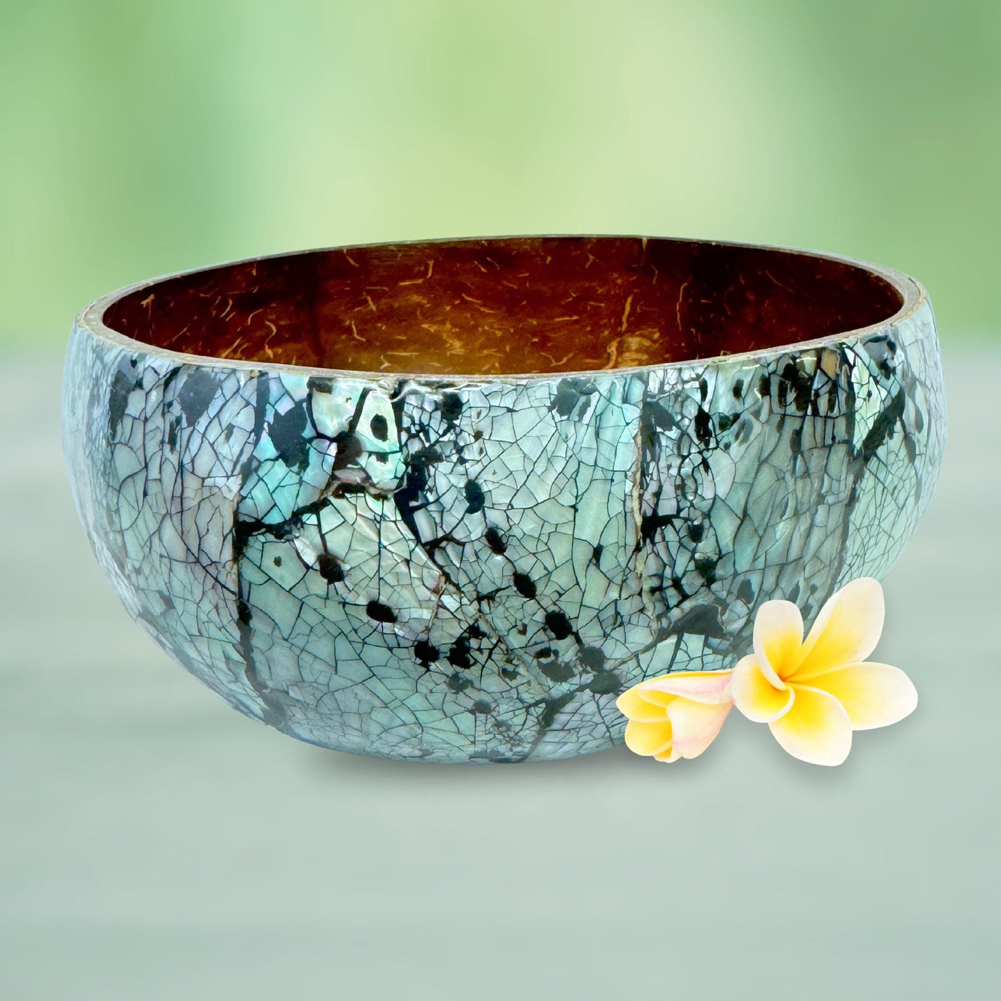 Abalone Seashell Coconut Bowl: Handcrafted Bali Decor