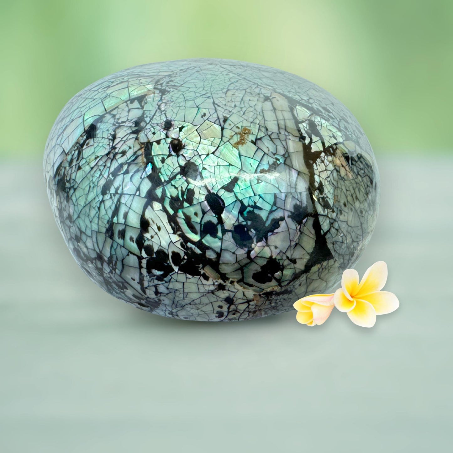 Abalone Seashell Coconut Bowl: Handcrafted Bali Decor