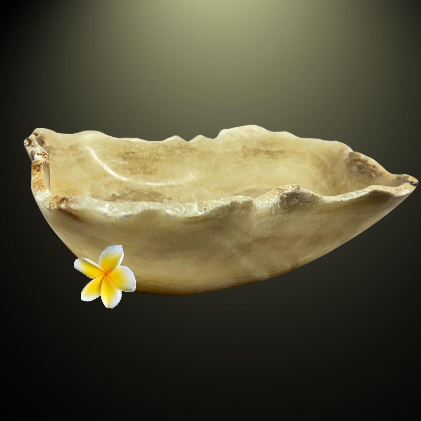 Hand Carved Agate Crystal Bowl: Raw Edge Reiki Tool