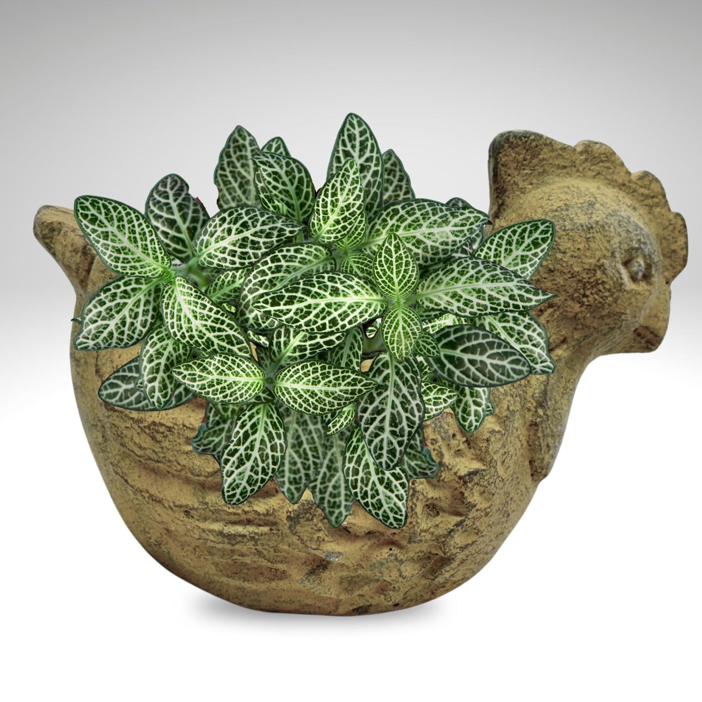 Chicken Flower Pot Country Decor Garden Planter- Garden Container  handmade cast lava stone Statue