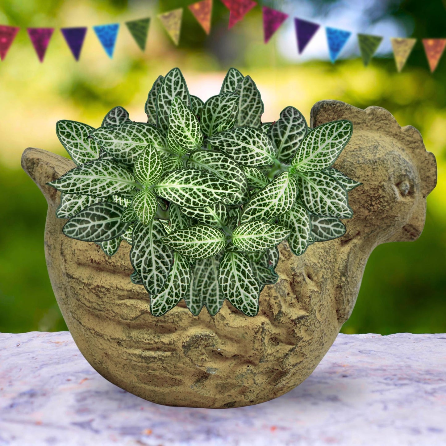 Chicken Flower Pot Country Decor Garden Planter- Garden Container  handmade cast lava stone Statue