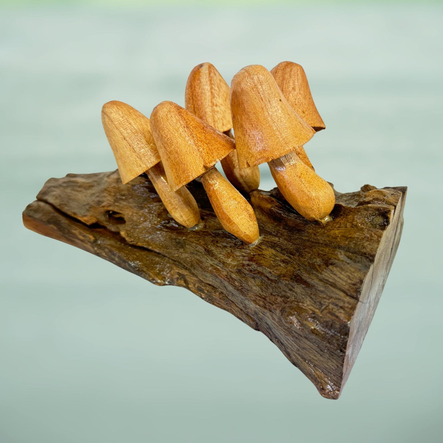 Hand Carved Wood Mushroom Sculpture: Rustic Cottage Wall Art