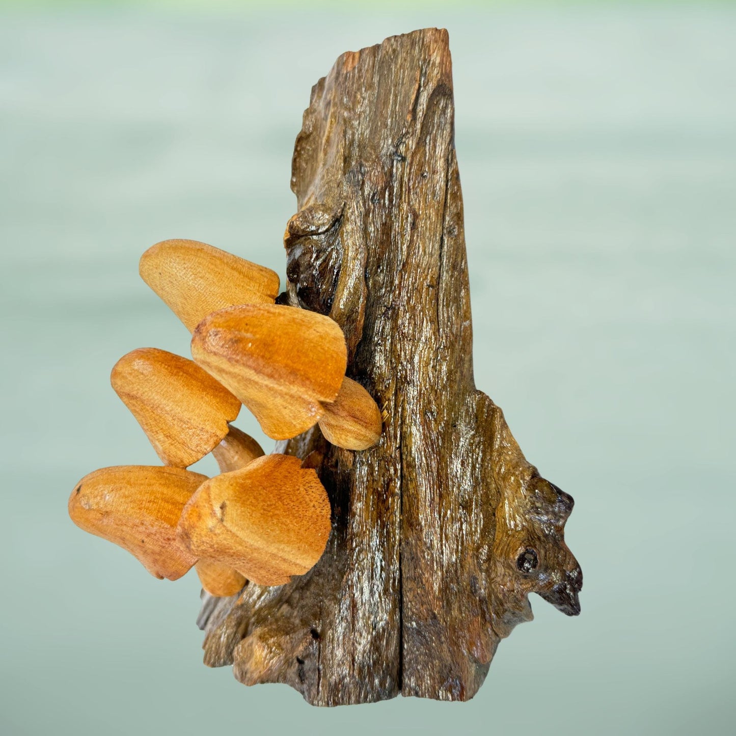 Hand Carved Wood Mushroom Sculpture: Rustic Cottage Wall Art