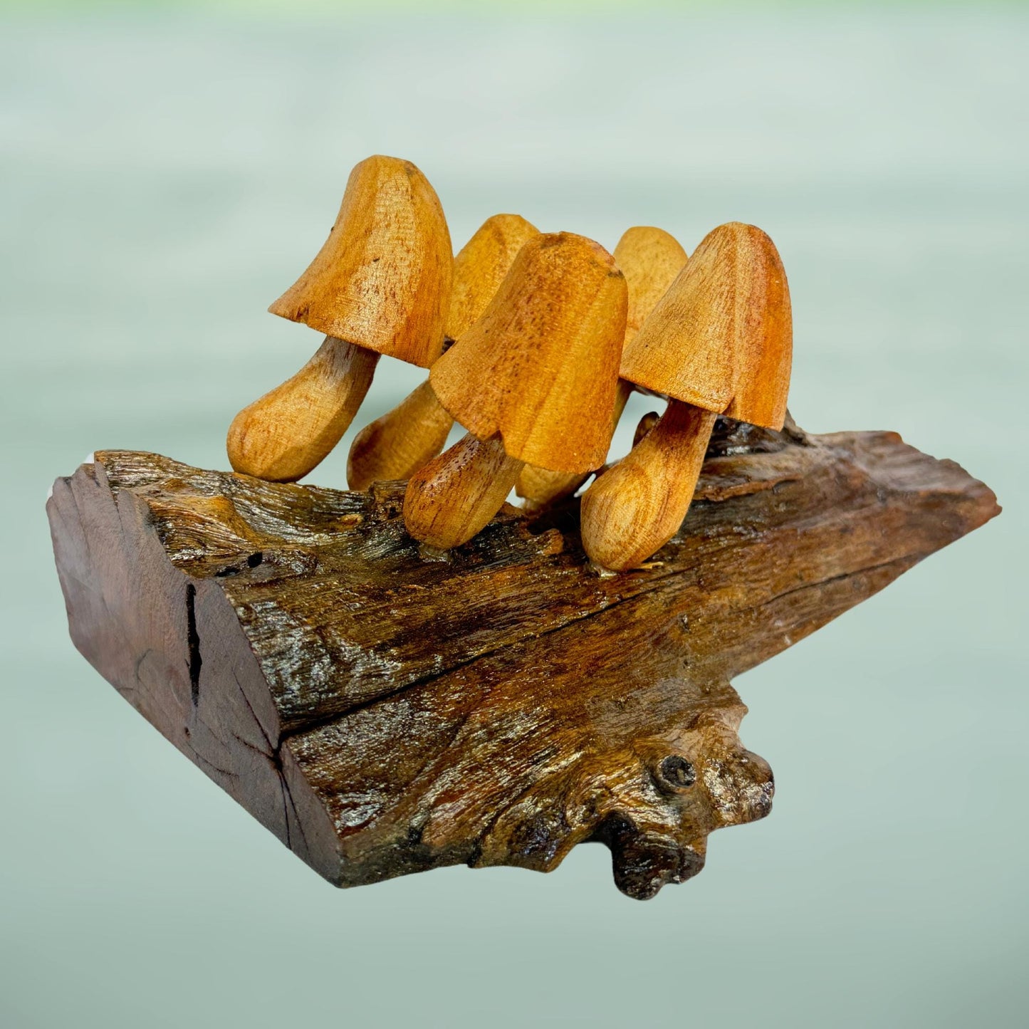 Hand Carved Wood Mushroom Sculpture: Rustic Cottage Wall Art