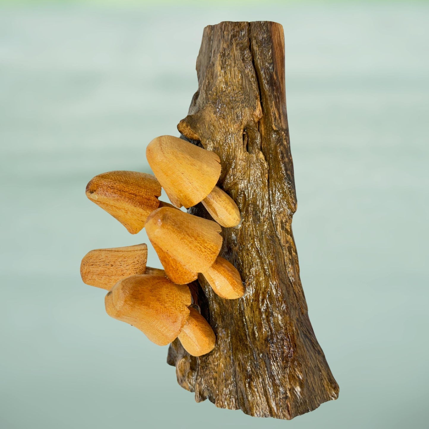 Hand Carved Wood Mushroom Sculpture: Rustic Cottage Wall Art