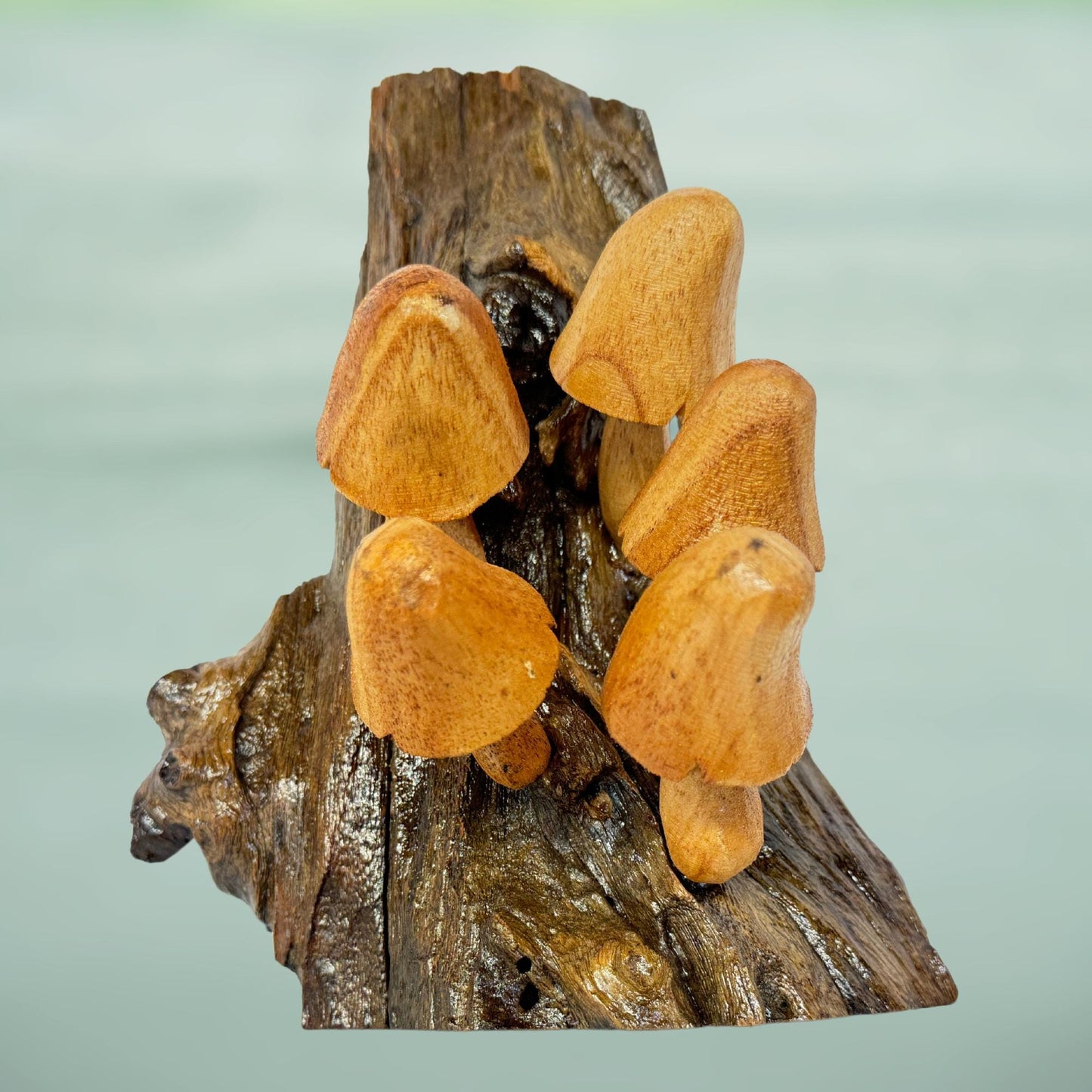 Hand Carved Wood Mushroom Sculpture: Rustic Cottage Wall Art