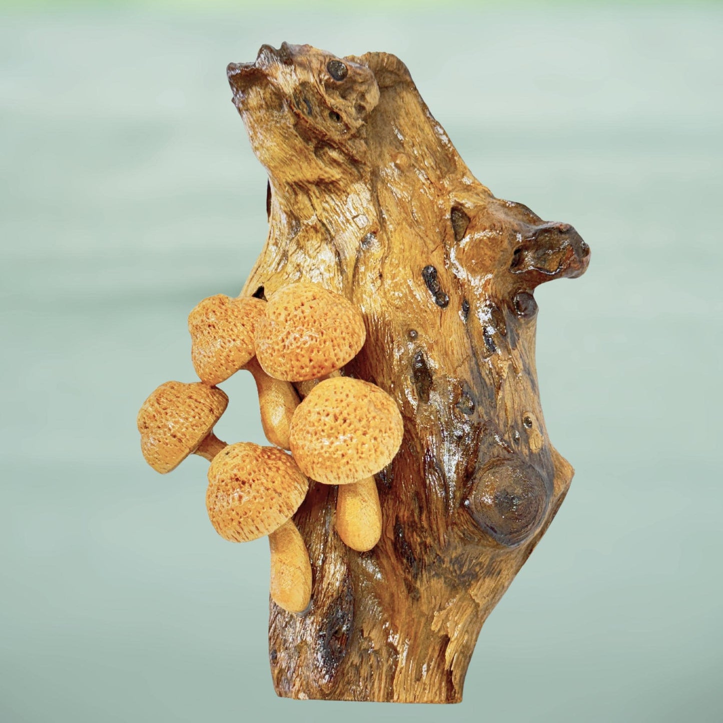 Hand Carved Mushroom Sculpture: Rustic Parasite Wood Wall Art