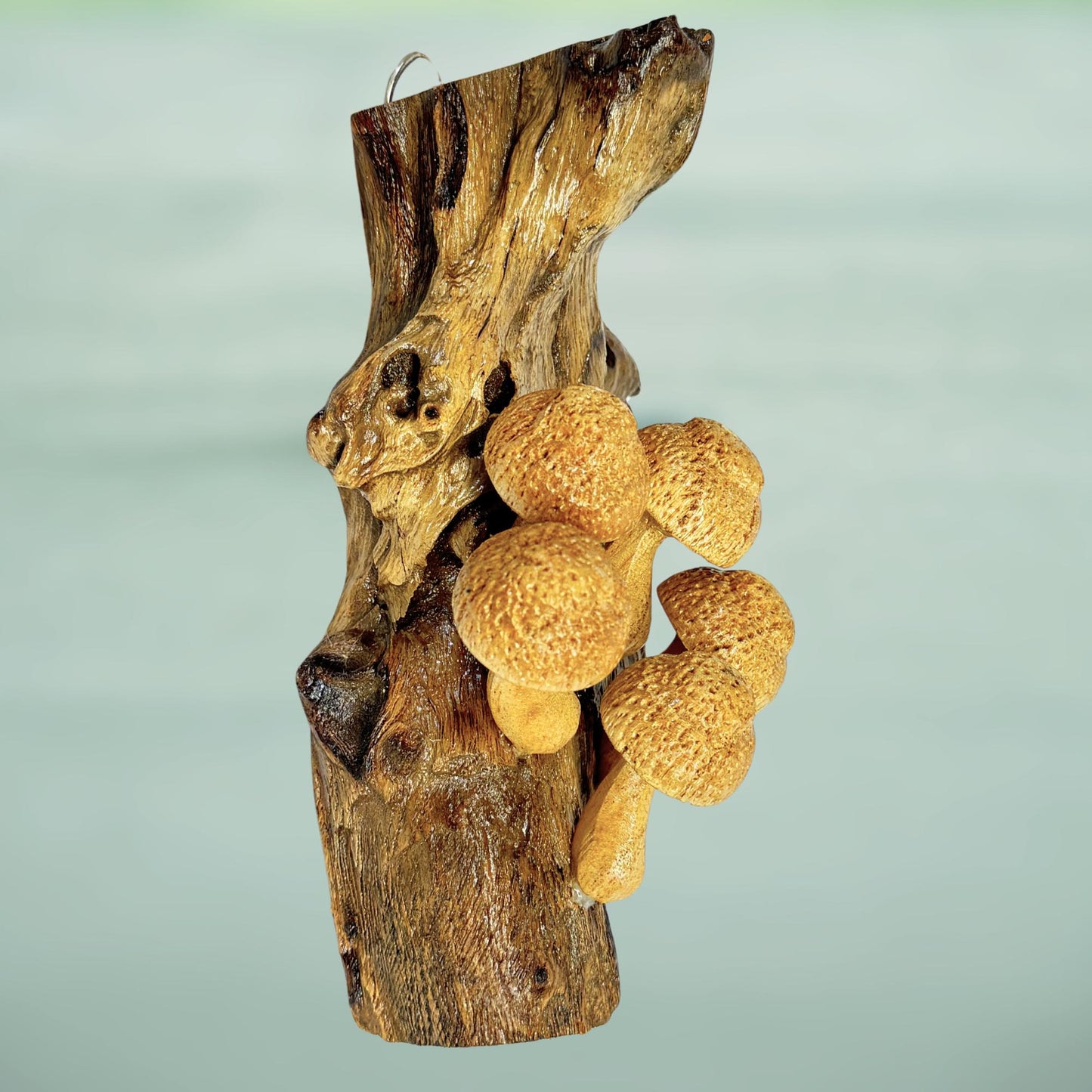 Hand Carved Mushroom Sculpture: Rustic Parasite Wood Wall Art