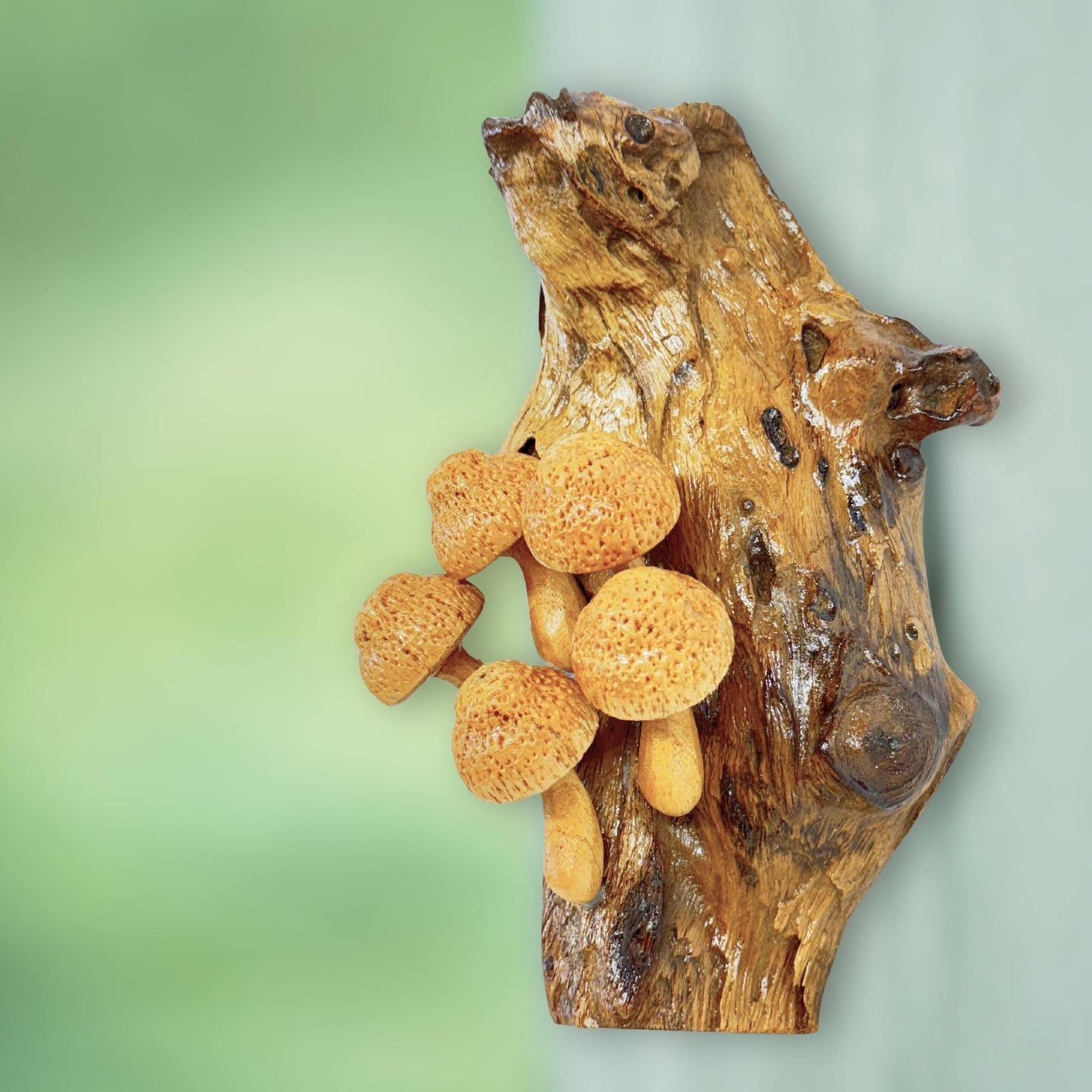 Hand Carved Mushroom Sculpture: Rustic Parasite Wood Wall Art