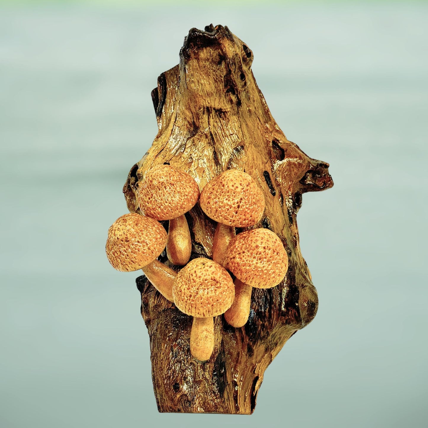Hand Carved Mushroom Sculpture: Rustic Parasite Wood Wall Art
