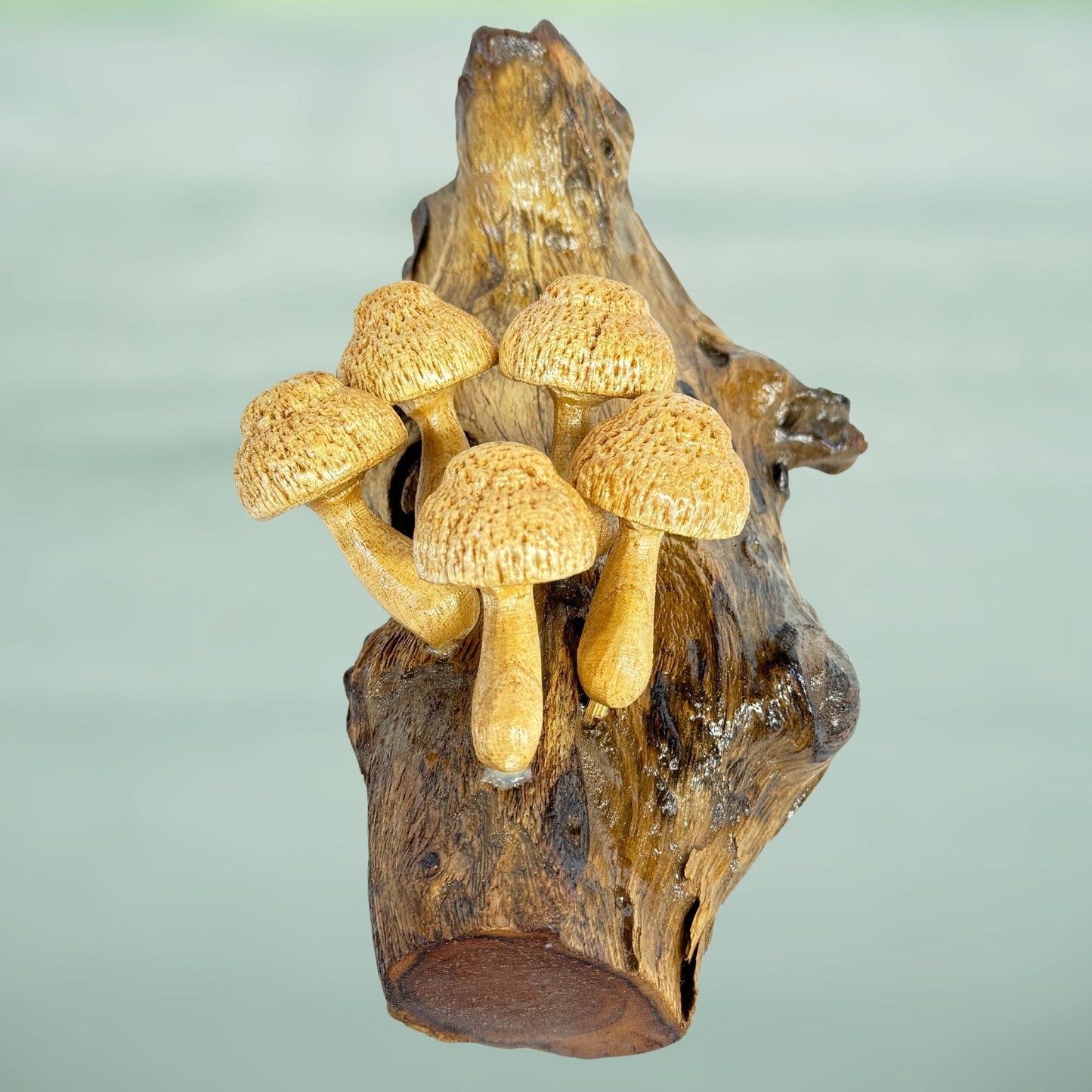Hand Carved Mushroom Sculpture: Rustic Parasite Wood Wall Art