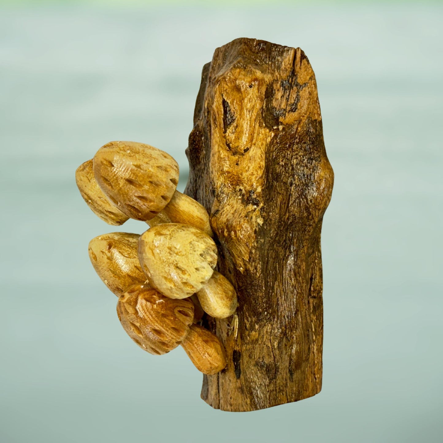 Hand Carved Wood Mushroom Sculpture: Balinese Rustic Decor Wall Art