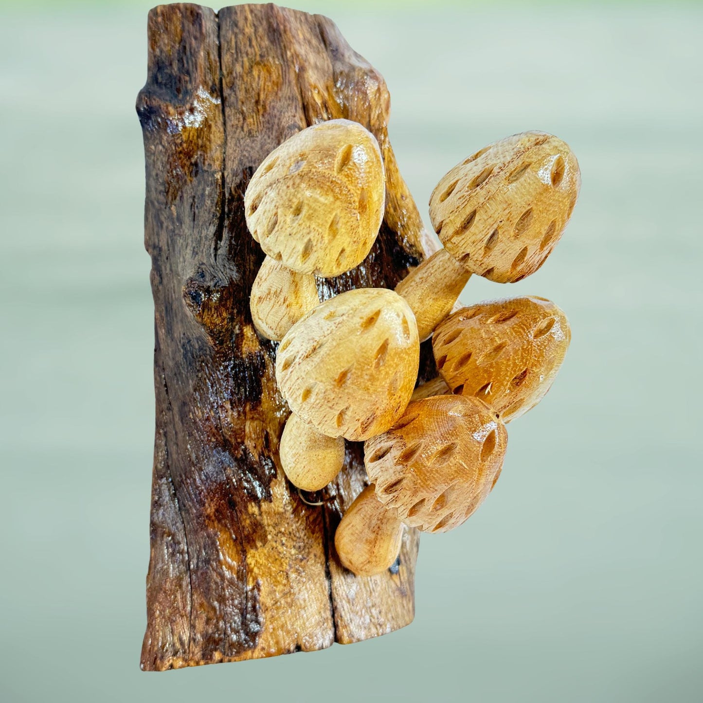 Hand Carved Wood Mushroom Sculpture: Balinese Rustic Decor Wall Art