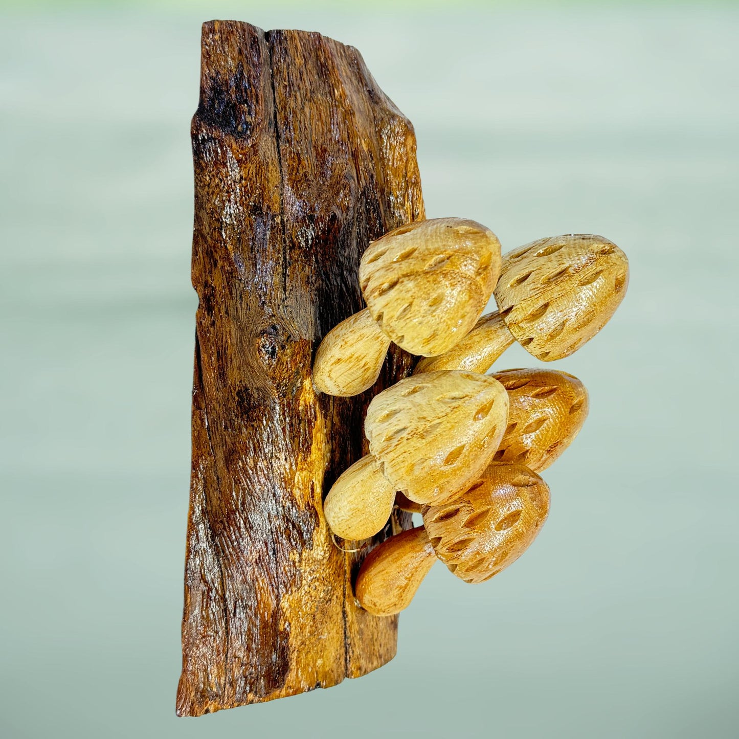 Hand Carved Wood Mushroom Sculpture: Balinese Rustic Decor Wall Art