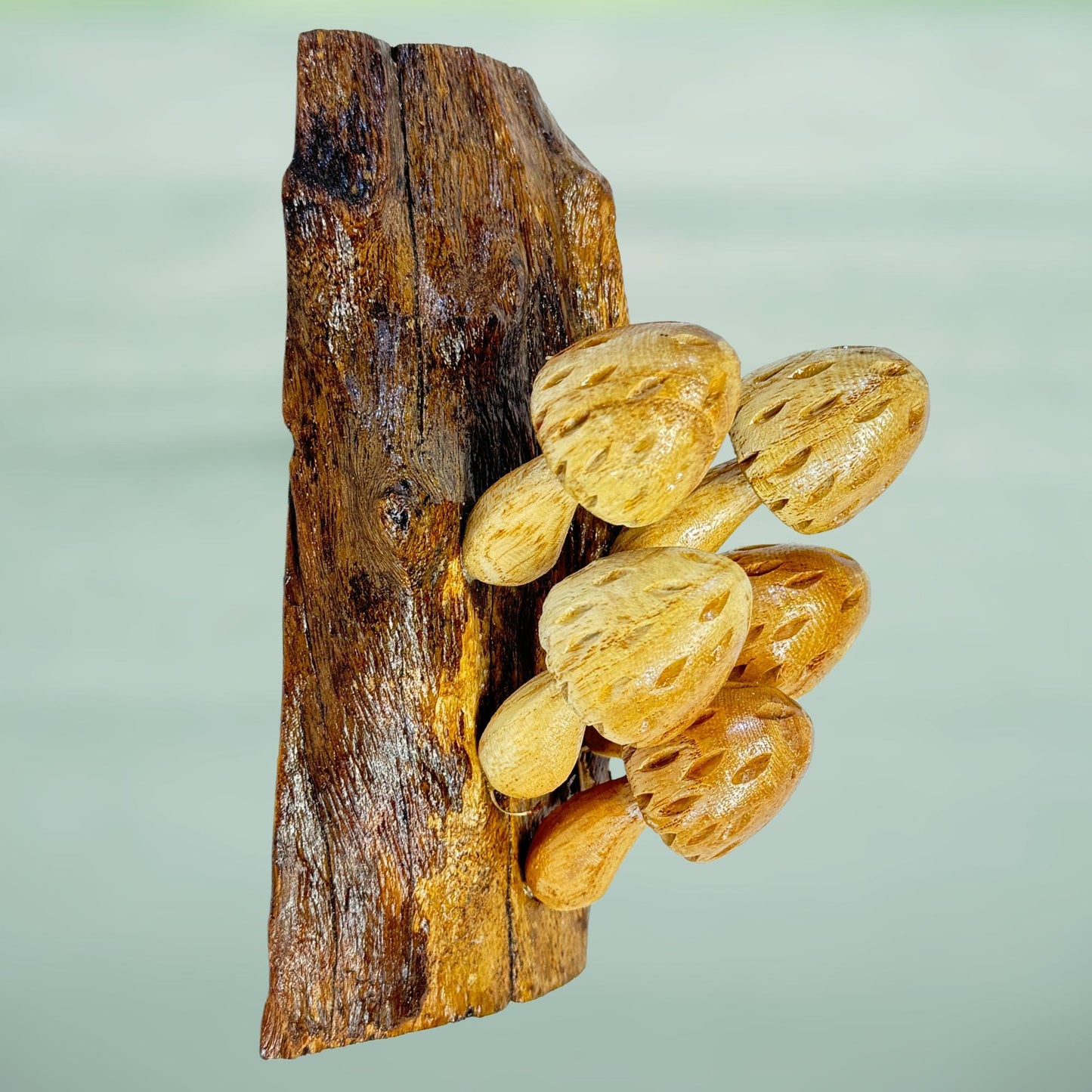 Hand Carved Wood Mushroom Sculpture: Balinese Rustic Decor Wall Art