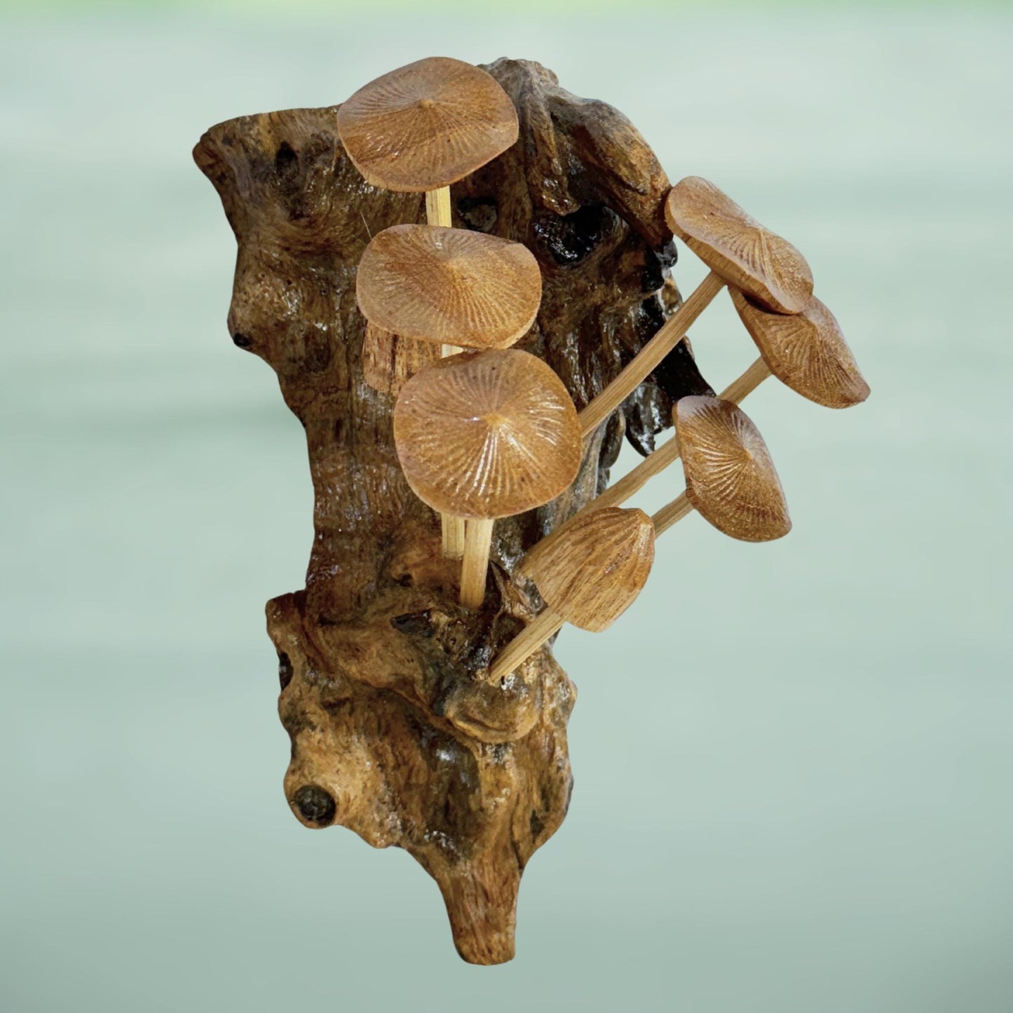 Hand Carved Mushroom Wall Art: Balinese Parasite Wood Sculpture