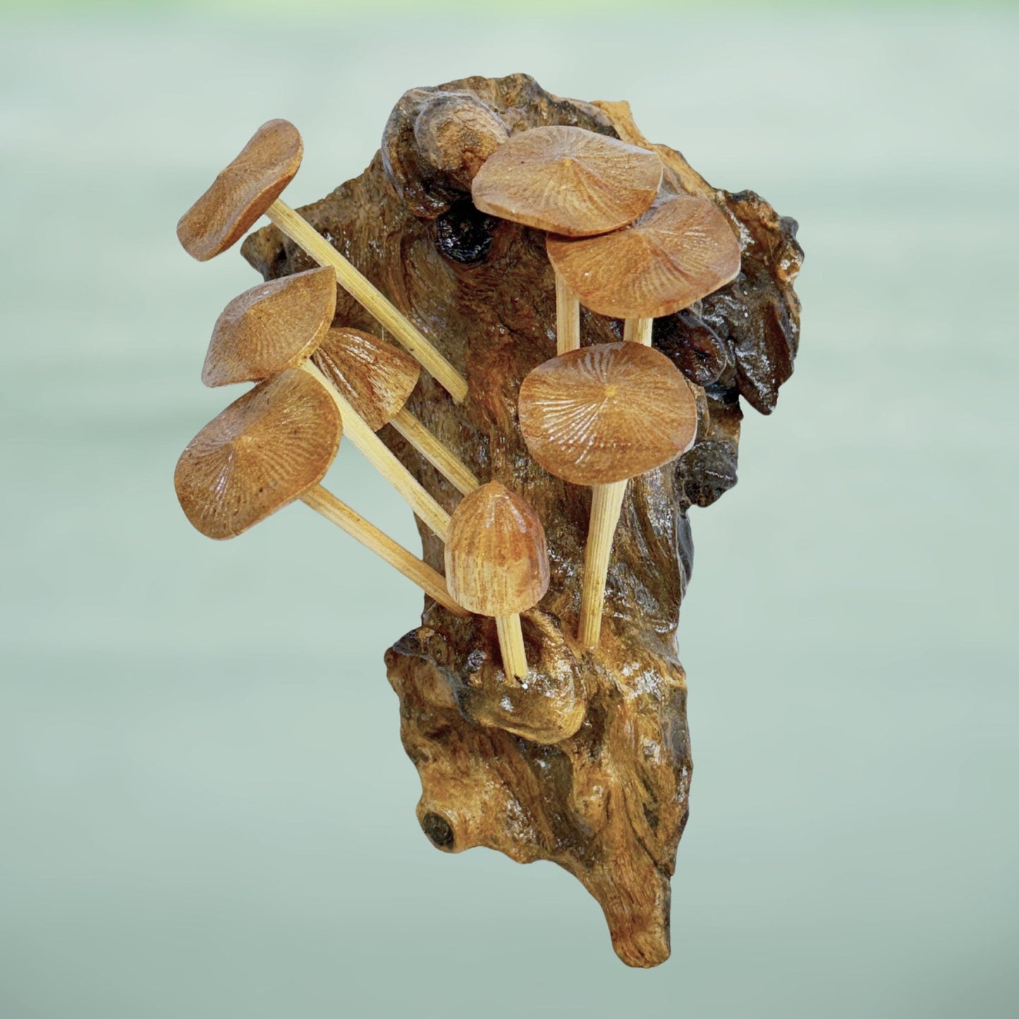 Hand Carved Mushroom Wall Art: Balinese Parasite Wood Sculpture