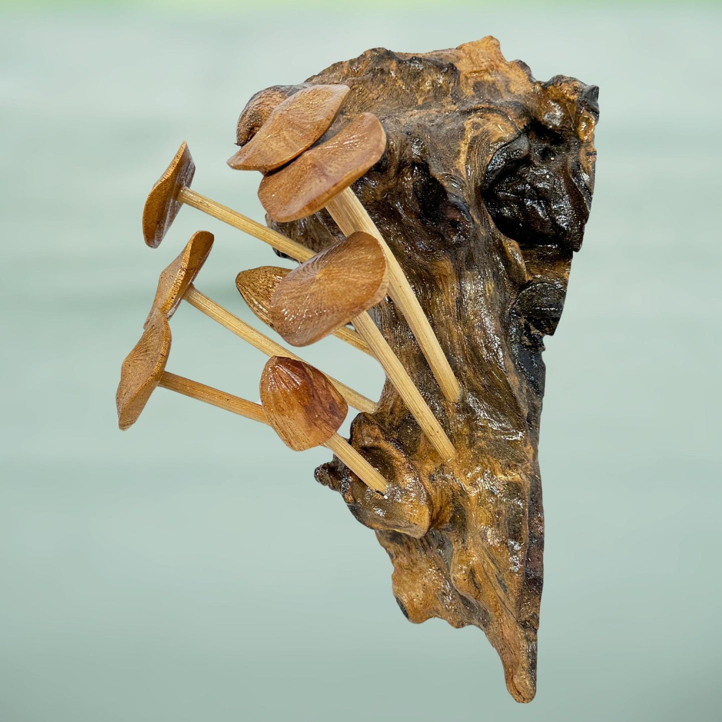 Hand Carved Mushroom Wall Art: Balinese Parasite Wood Sculpture