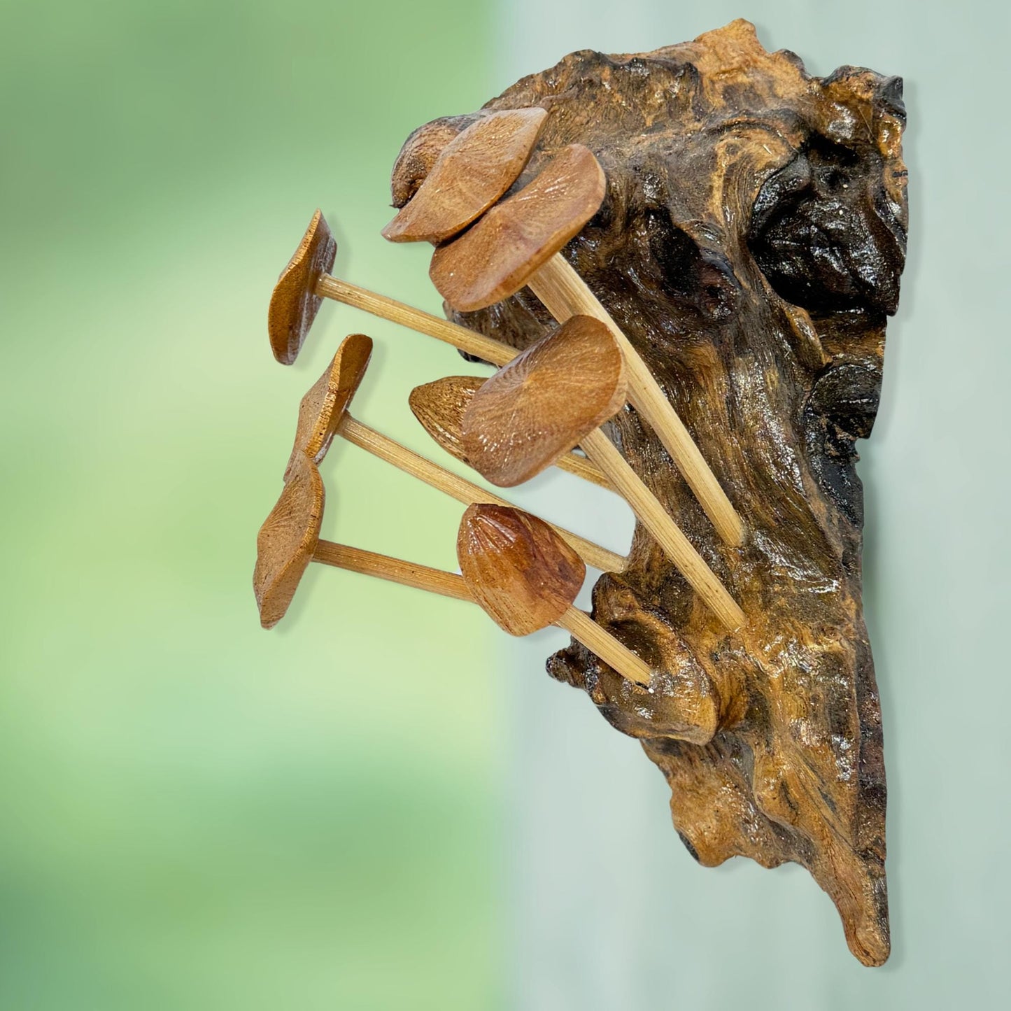 Hand Carved Mushroom Wall Art: Balinese Parasite Wood Sculpture