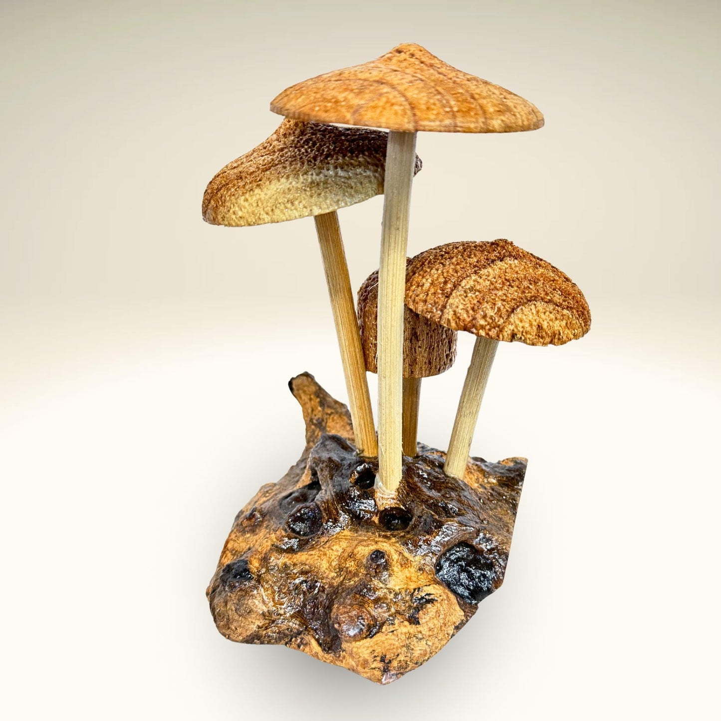 Hand Carved Magic Forest Mushroom Figurine Sculpture | Unique Parasite Wood Statue | Balinese Art Decor