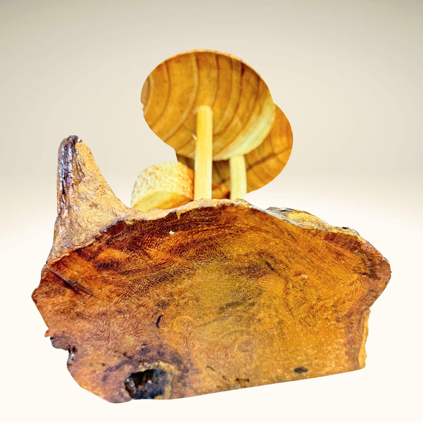 Hand Carved Magic Forest Mushroom Figurine Sculpture | Unique Parasite Wood Statue | Balinese Art Decor