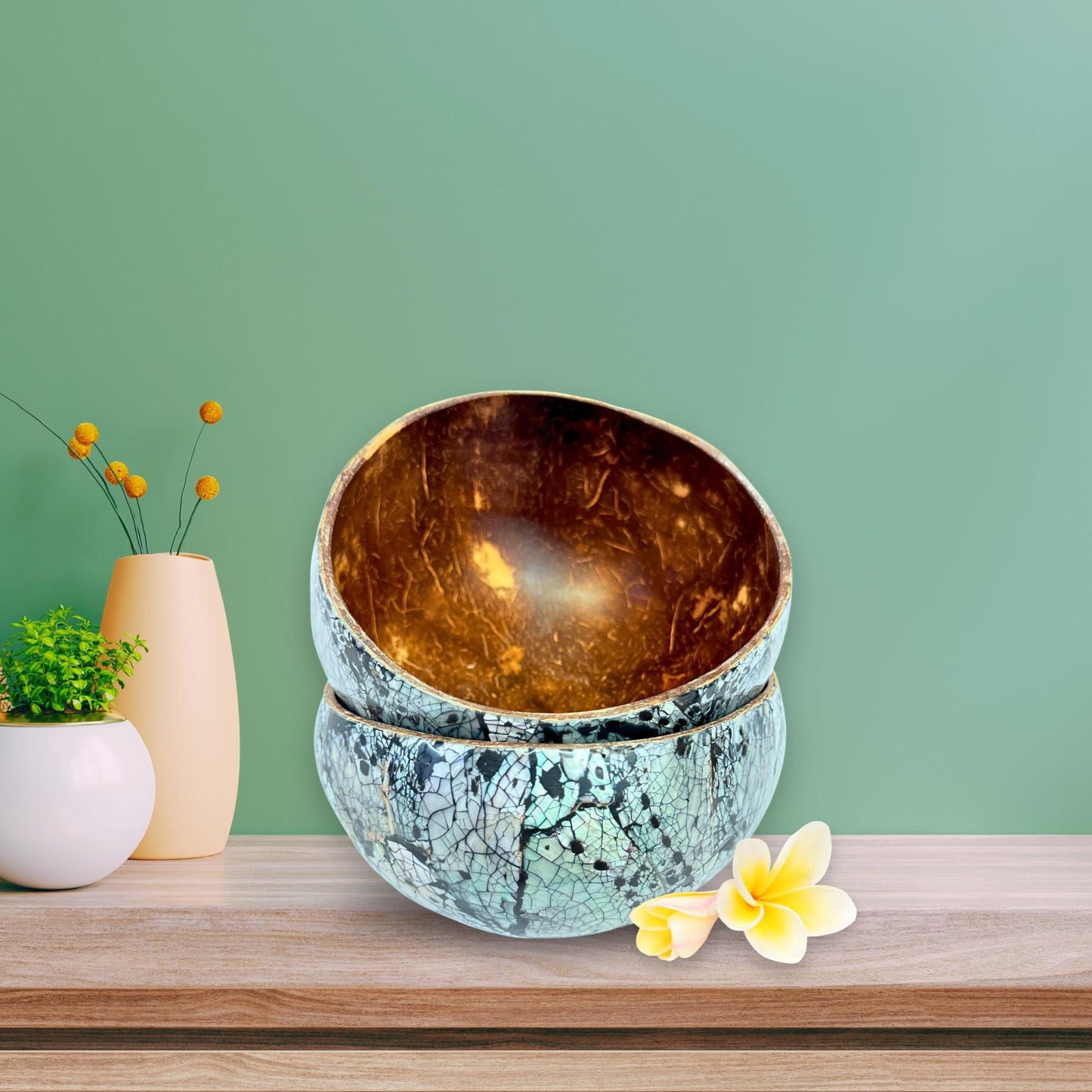 Abalone Seashell Coconut Bowl: Handcrafted Bali Decor
