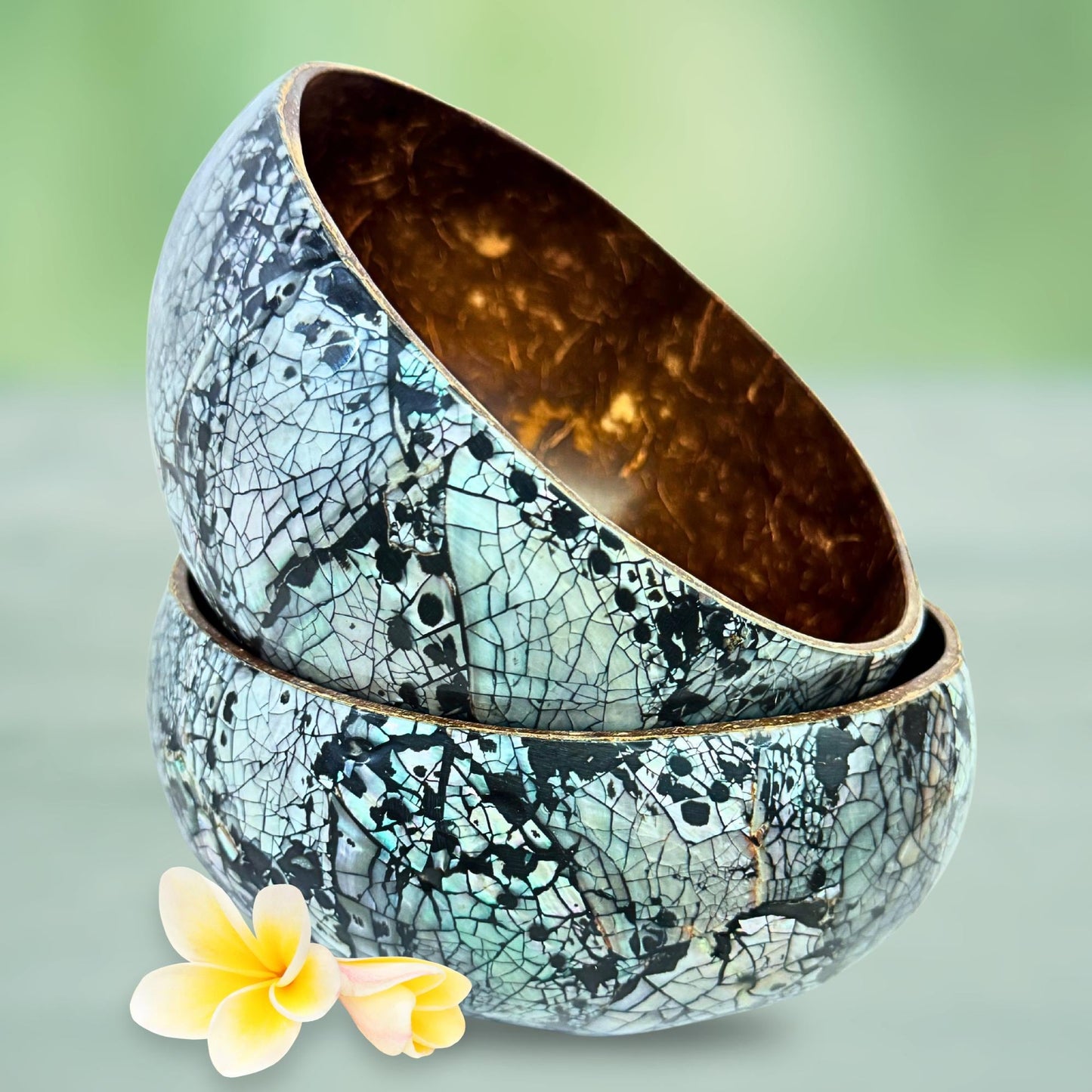 Abalone Seashell Coconut Bowl: Handcrafted Bali Decor