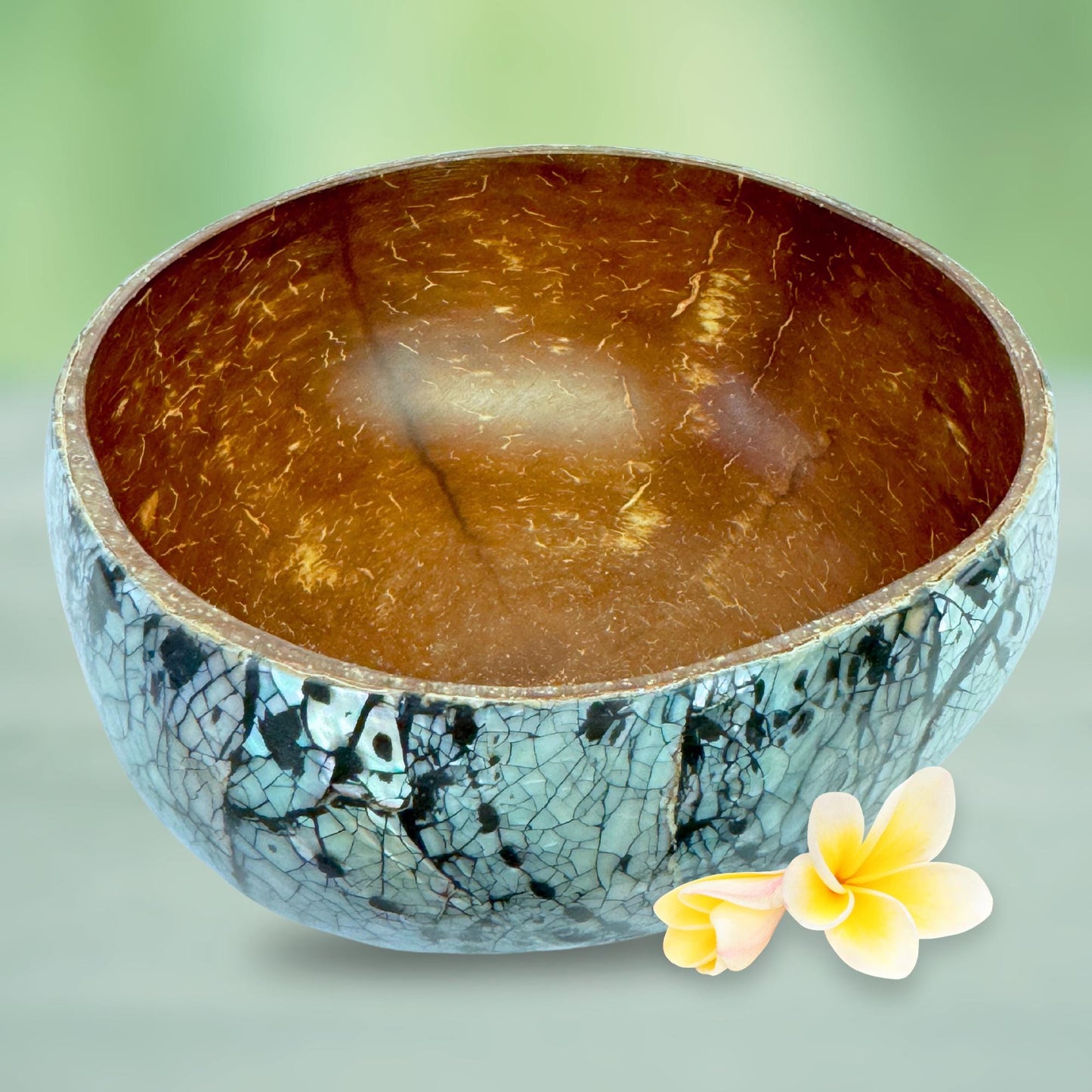 Abalone Seashell Coconut Bowl: Handcrafted Bali Decor