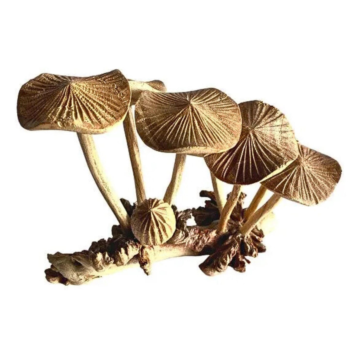 Hand Carved Mushroom Sculpture: Balinese Parasite Wood Carving, Fungi Statue
