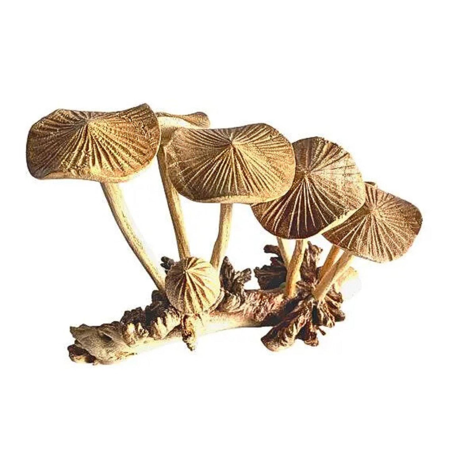 Hand Carved Mushroom Sculpture: Balinese Parasite Wood Carving, Fungi Statue