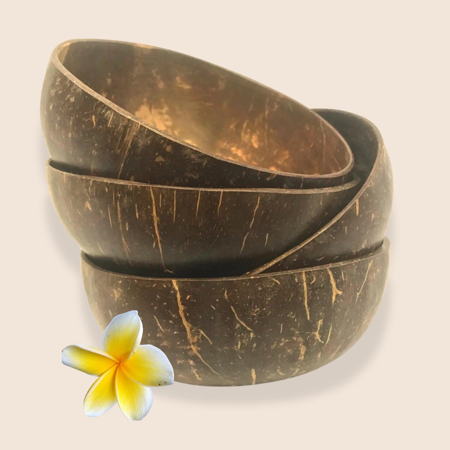 Handcrafted Coconut Shell Bowl: Eco-Friendly Vegan Tableware