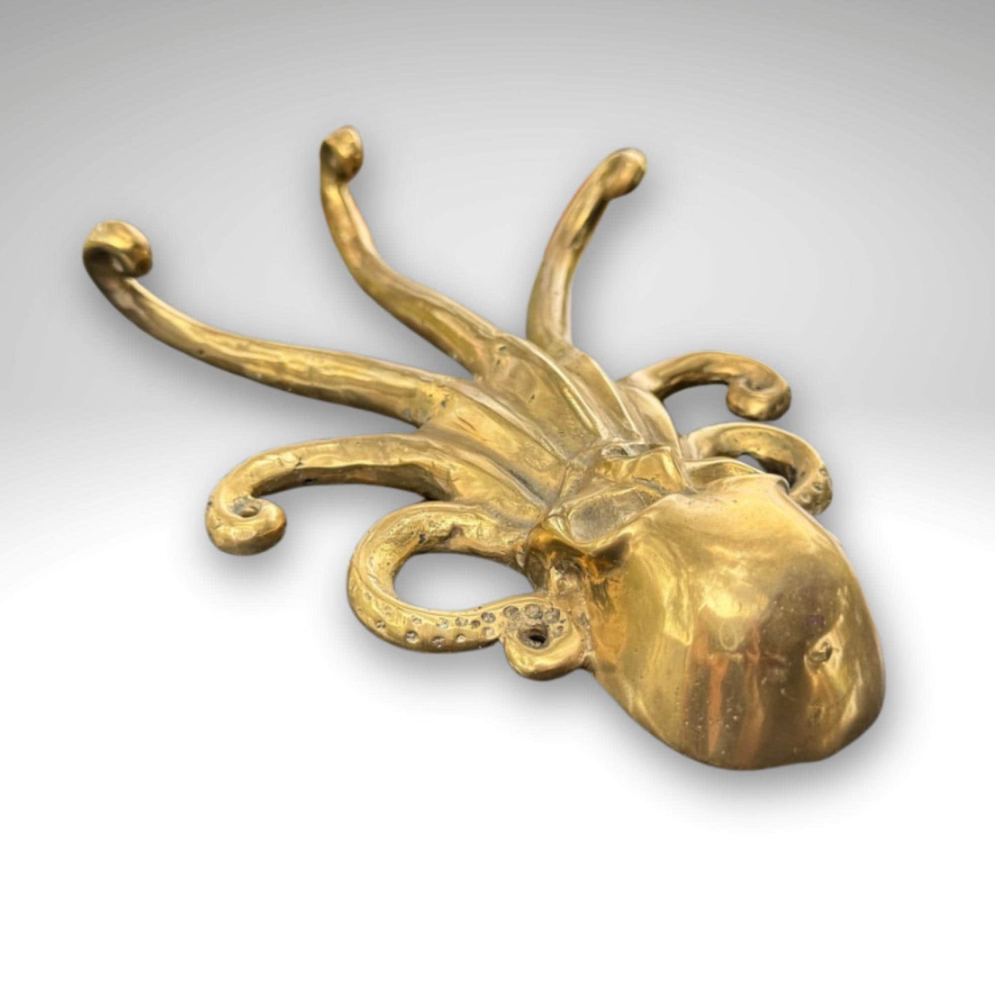 Bronze Octopus Skull Wall Hook: Nautical Pirate Decor, Handmade Bali Art