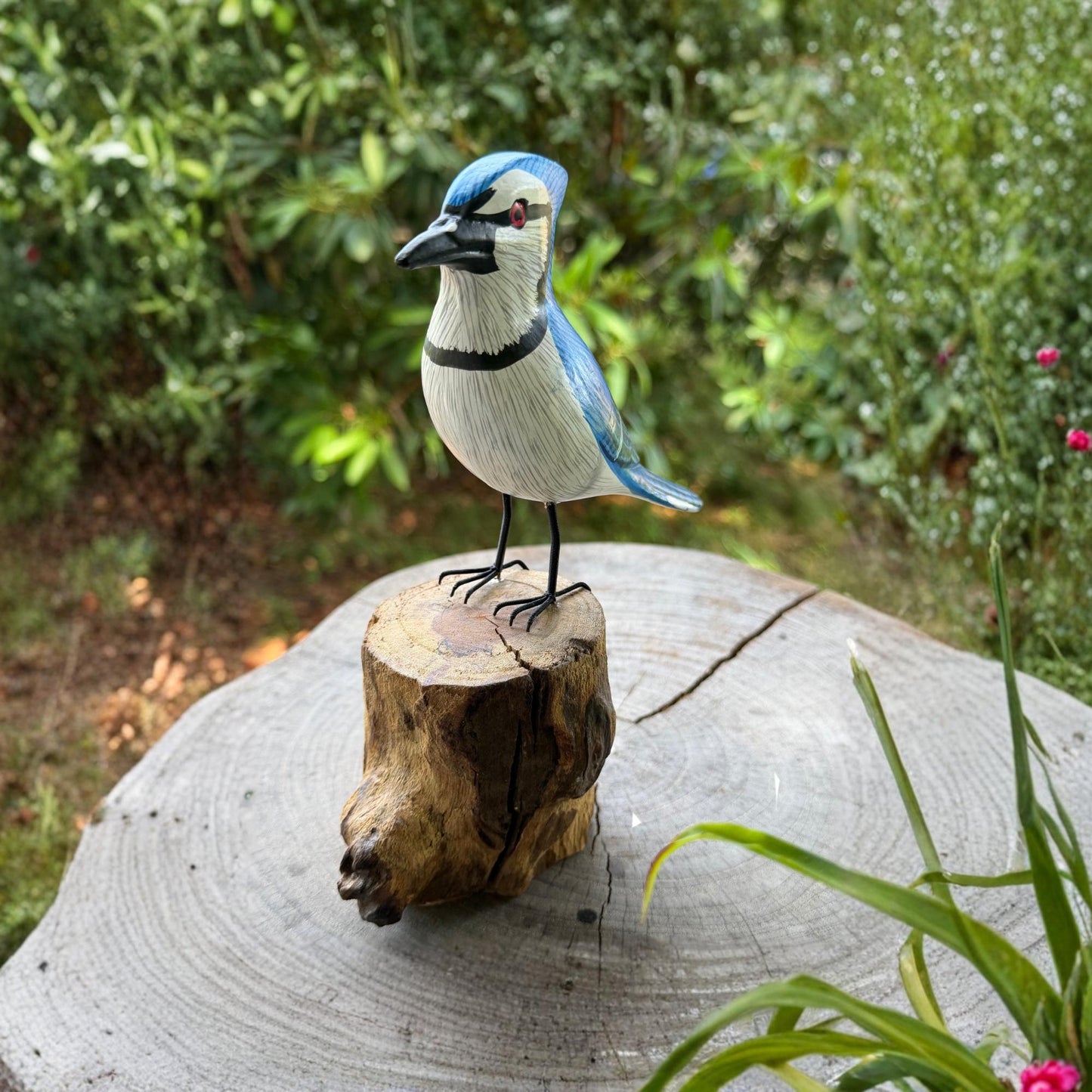 Hand Carved Blue Jay Wood Sculpture: Forest Bird Wildlife Art