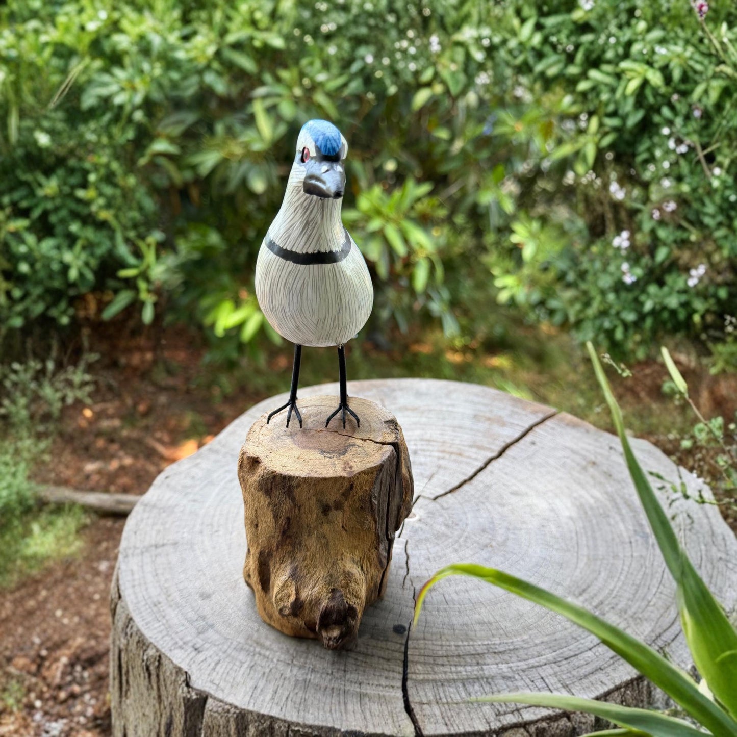 Hand Carved Blue Jay Wood Sculpture: Forest Bird Wildlife Art