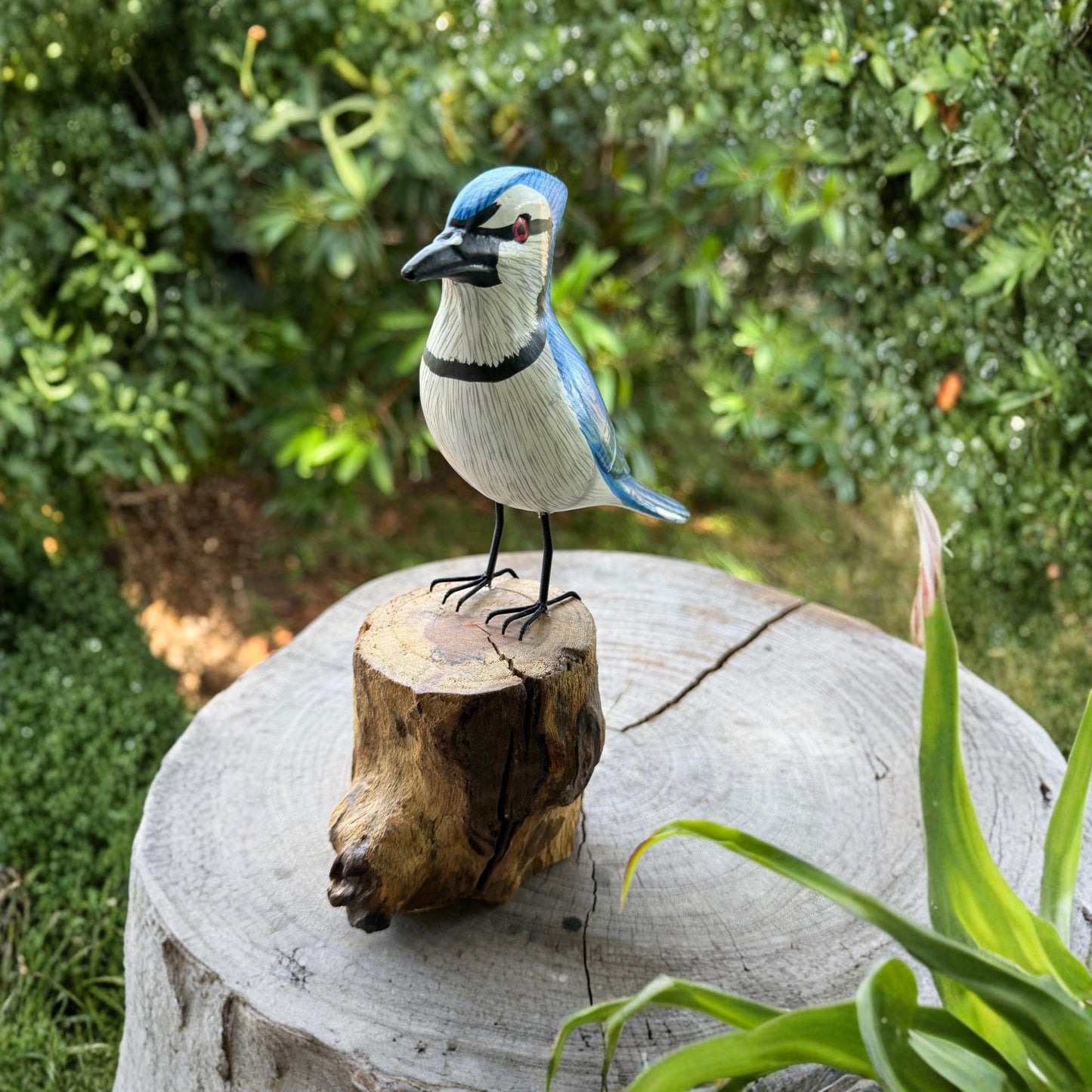 Hand Carved Blue Jay Wood Sculpture: Forest Bird Wildlife Art